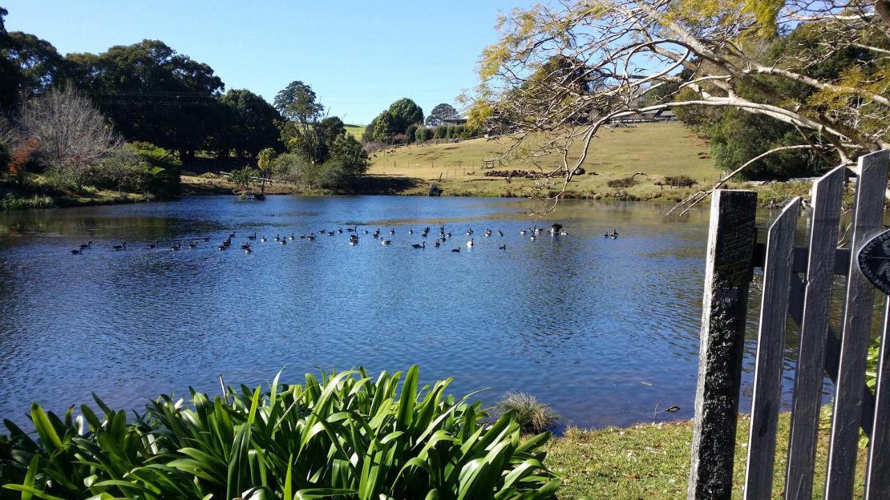 Maleny Homestead & Cottage Dış mekan fotoğraf